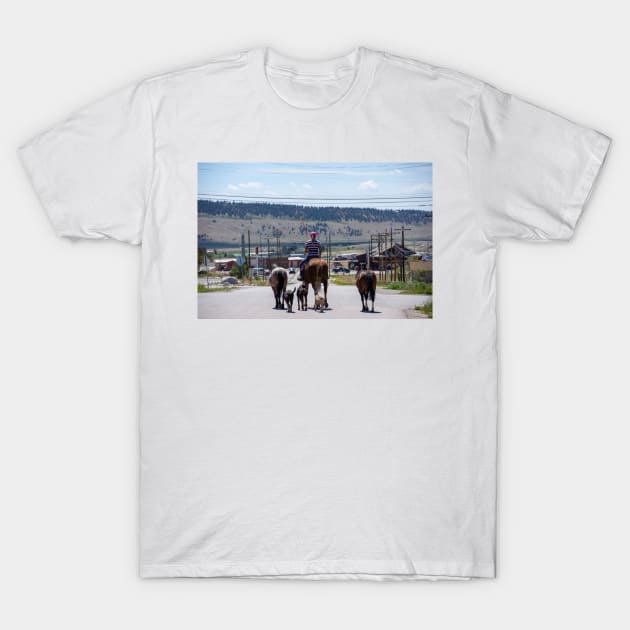 Woman Riding Horse With 3 Dogs and 2 Horses T-Shirt by photosbyalexis